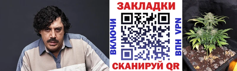 Как найти закладки Дагестанские Огни Гашиш  АМФ  Меф мяу мяу 