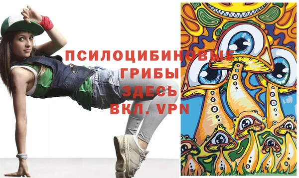 первитин Богданович