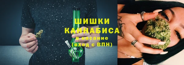 первитин Богданович