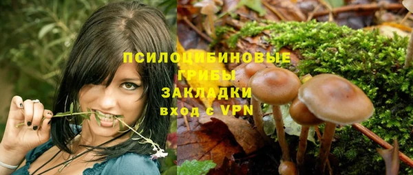 соль курить ск Богородск