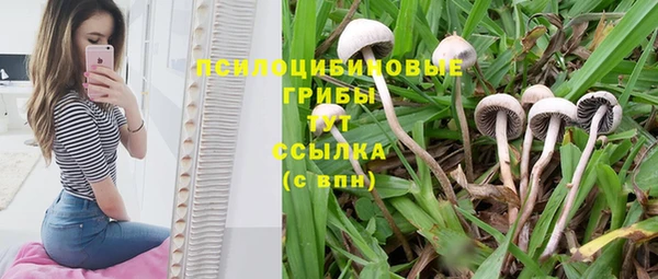 первитин Богданович