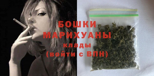 ешки Бородино
