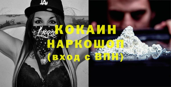 ешки Бородино