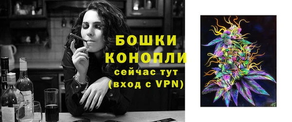 стаф Богородицк