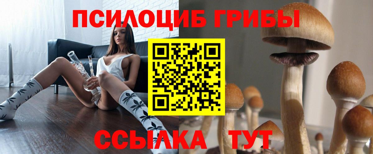 Псилоцибиновые грибы Magic Shrooms Дагестанские Огни