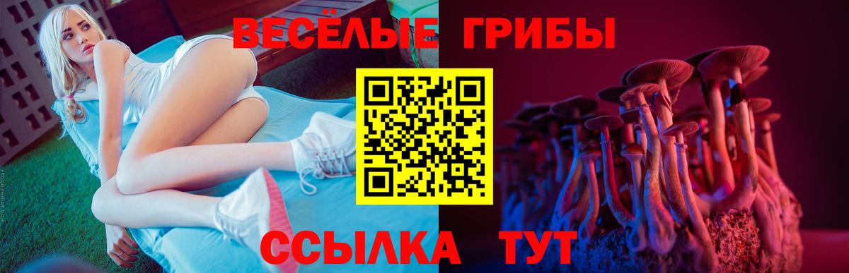 Дагестанские Огни  Галлюциногенные грибы мухоморы  Галлюциногенные грибы ЛСД  Вход с VPN 